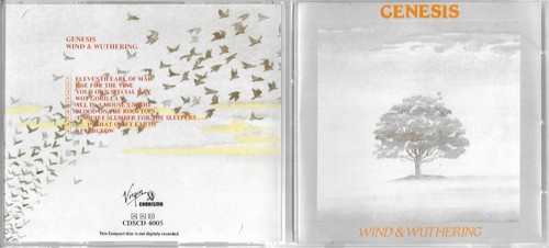Genesis wind wuthering - wind,