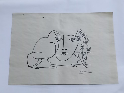 Pablo picasso drawing - drawing, paper