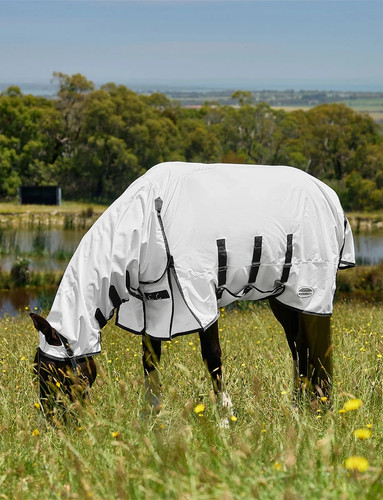 Weatherbeeta sweet itch shield - sweet,