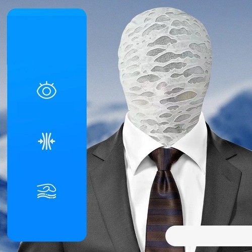 Adult morph mask - adult, offical