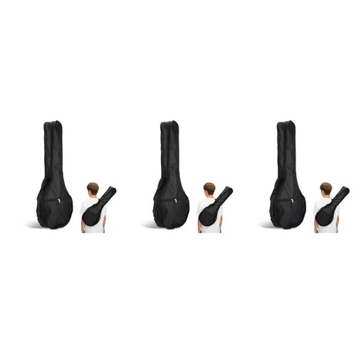 Lightweight mandolin bag - mandolin,