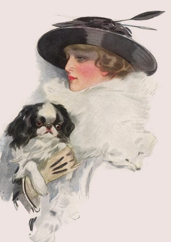 Japanese chin dog greeting - dog,