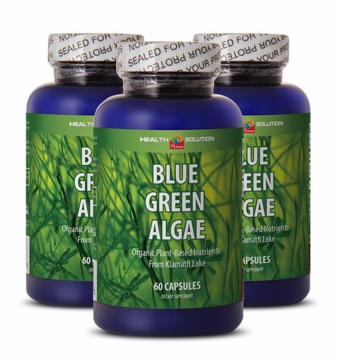 Algae biotechnology blue - biotechnology,