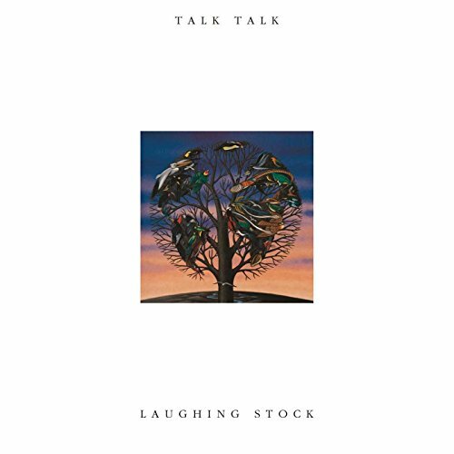 Talk laughing - talk, stock