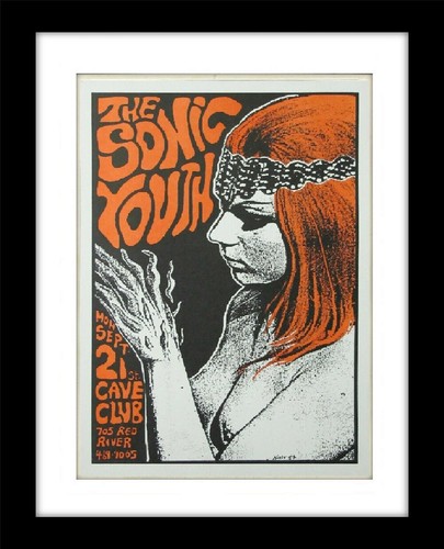 The sonic youth - the, vintage