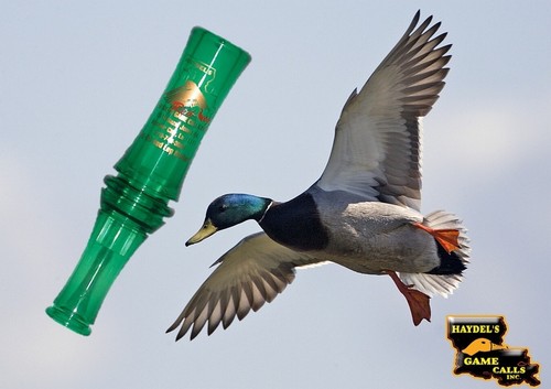 Duck call haydels redleg - call,
