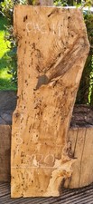 LIVE EDGE SPALTED CHESTNUT