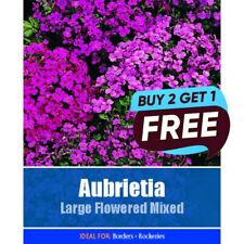 Aubretia Large Flowered Mixed Flower Seeds- 190 Seeds Garden Plant Pots Tubs