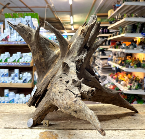 Large corbo root aquarium - root,