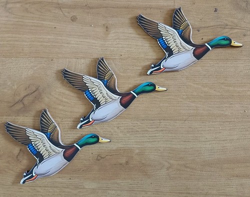 Flying wild ducks 2d - 3, 2d(flat)