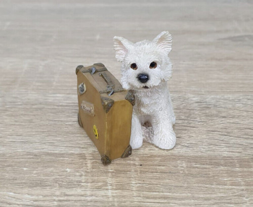 West highland white - west, terrier