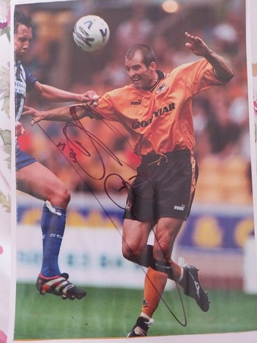 Wolverhampton wanderers steve - wolverhampton,