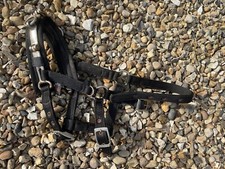 Black Pony Size Aerborn