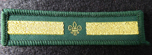Vintage scout patrol second - patrol,