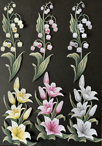 Carnation crafts lily - carnation, cascade