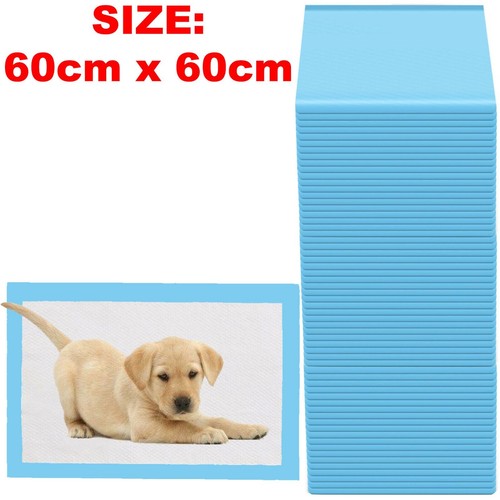 100 large puppy training - 100,
