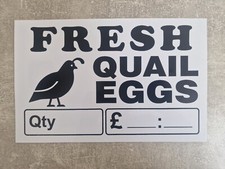 Fresh Quail Eggs For Sale - white panel to write on with Dry Wipe Pen A4 size