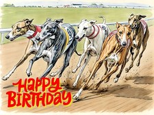 Greeting card racing - greeting, a5