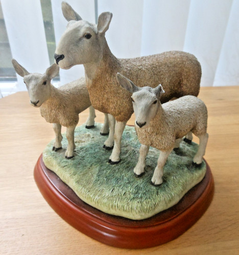 Border fine arts sheep - fine,