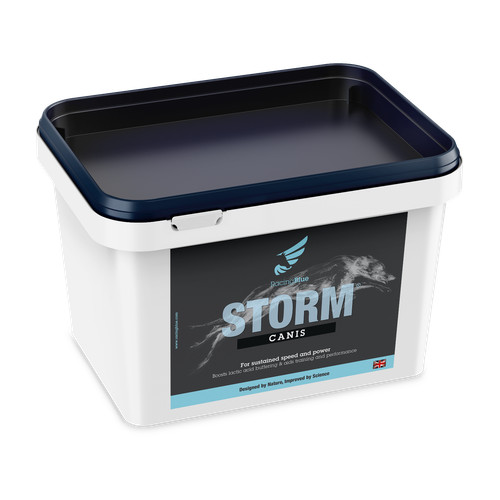 Storm canis muscle - canis,