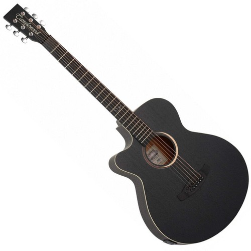 Tanglewood blackbird left - blackbird,