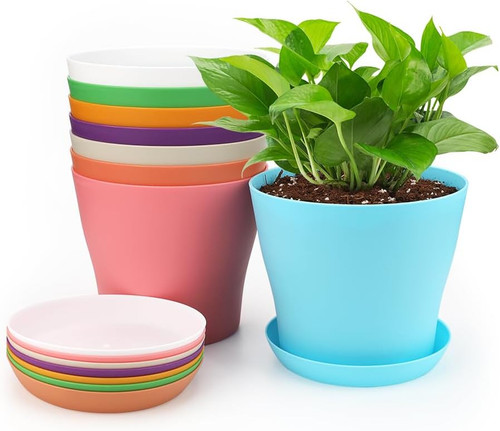 Kinglake pack 10cm - 8-pack, colorful