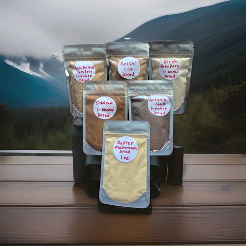 Mushroom powders chaga - mushroom,