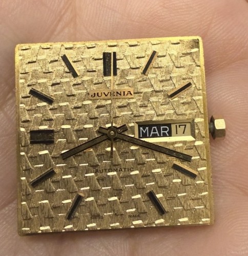 Juvenia macho gold - juvenia, “