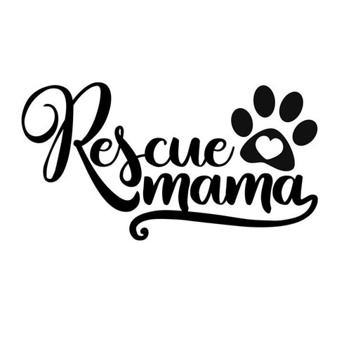 Small dog rescue - dog, mama