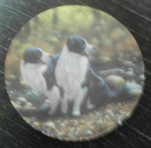 Border collie dog plate double - collie,
