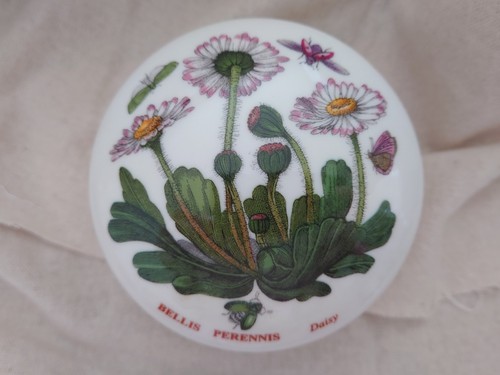 Portmeirion botanic garden - portmeirion,
