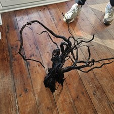 Natural Bog Wood for Fish Tank