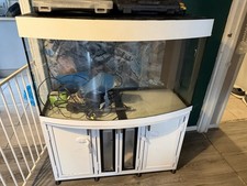 Juwel Vision 180 with Bespoke