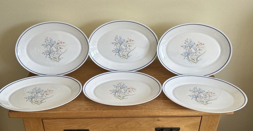 Pyrex oval blue - oval, steak