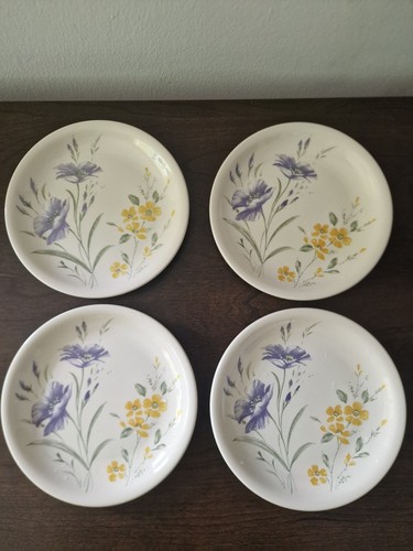 Vintage biltons plates - vintage,