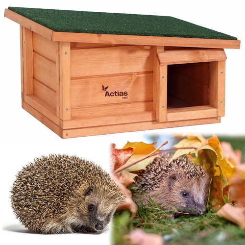 Hedgehog house hibernation - house,