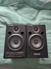 Roland Cakewalk MA-15D Active