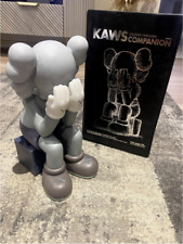 Kaws Passing Through Companion