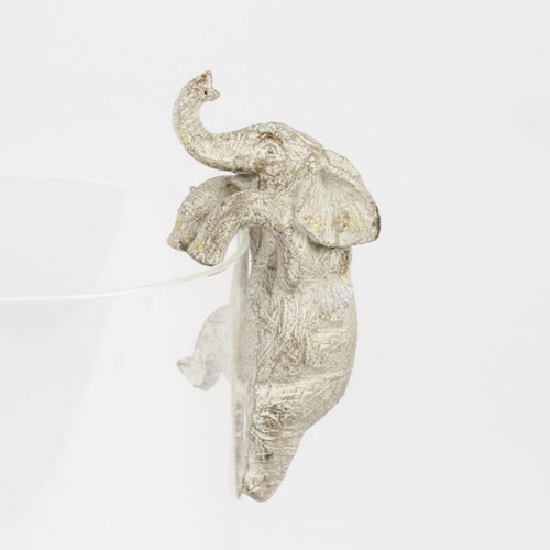 Elephant plant pot - plant,
