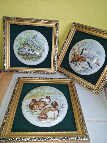 Vintage staffordshire fine - vintage,,