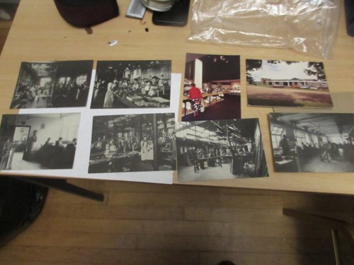 Unused various hardy - unused,