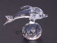 DOLPHIN & BALL@GORGEOUS