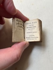 Antique Victorian Novelty
