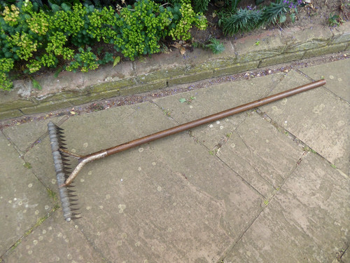 Vintage hand lawn - hand,