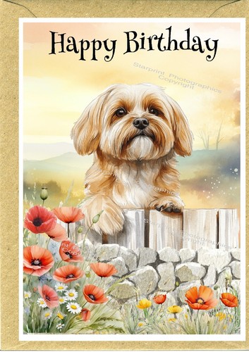 Lhasa apso dog - lhasa, 6")