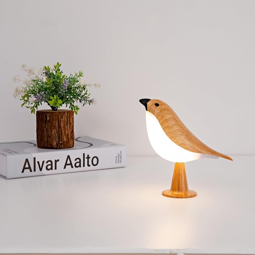Small cordless bedside lamp - cordless,