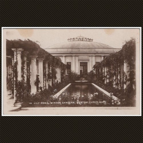 Lily pond winter gardens - lily,