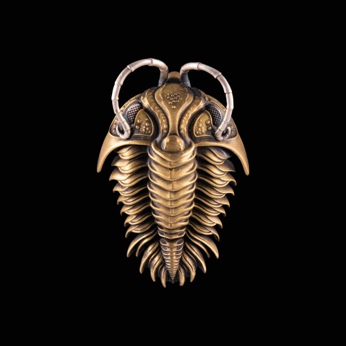 Trilobite kinetic pendant - trilobite,