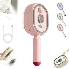 2026 New Electric Steam Brush