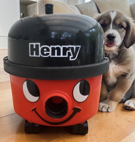 Henry vac small - small, hvr160